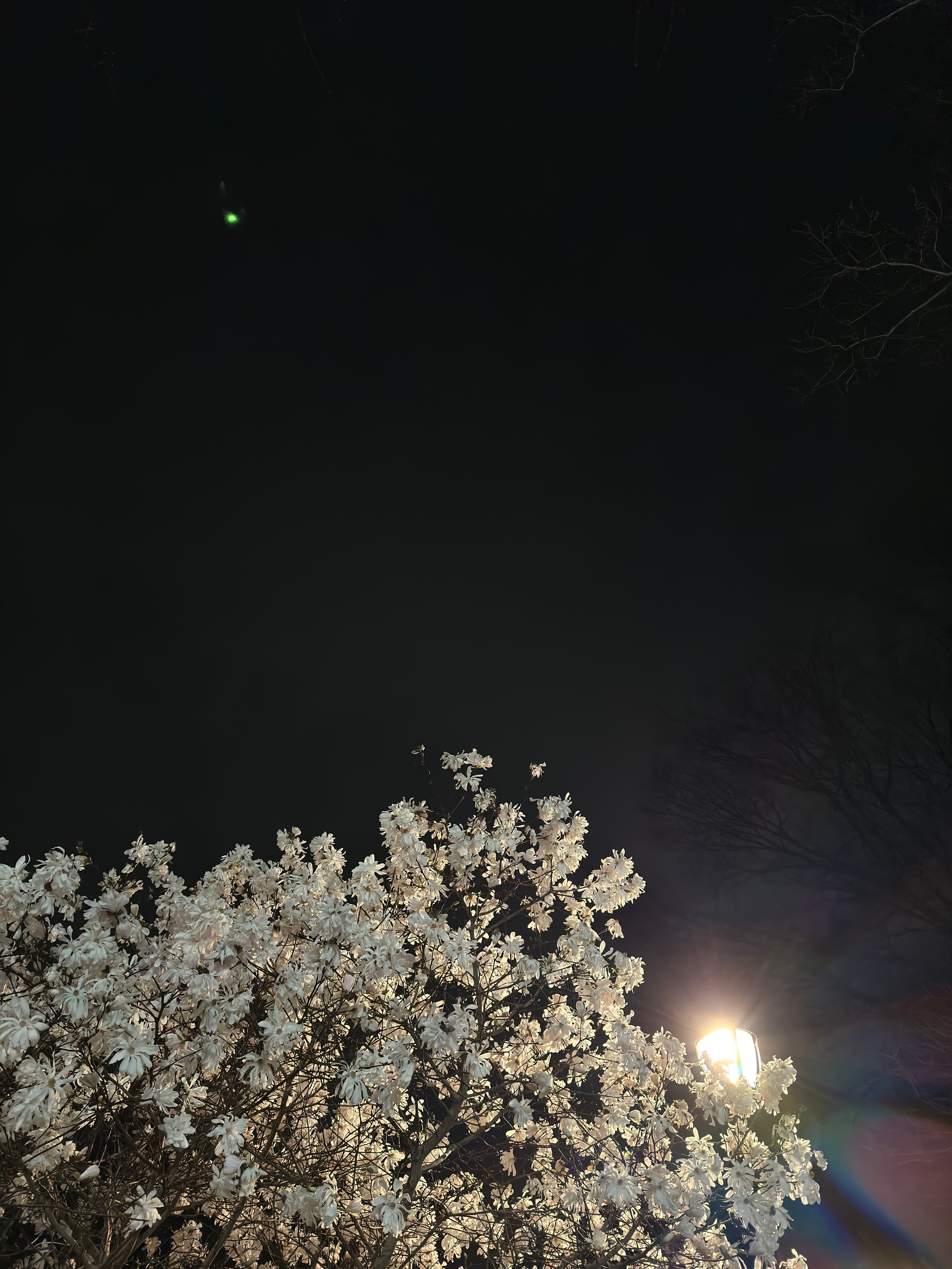 a spring evening in morningside heights, ny
