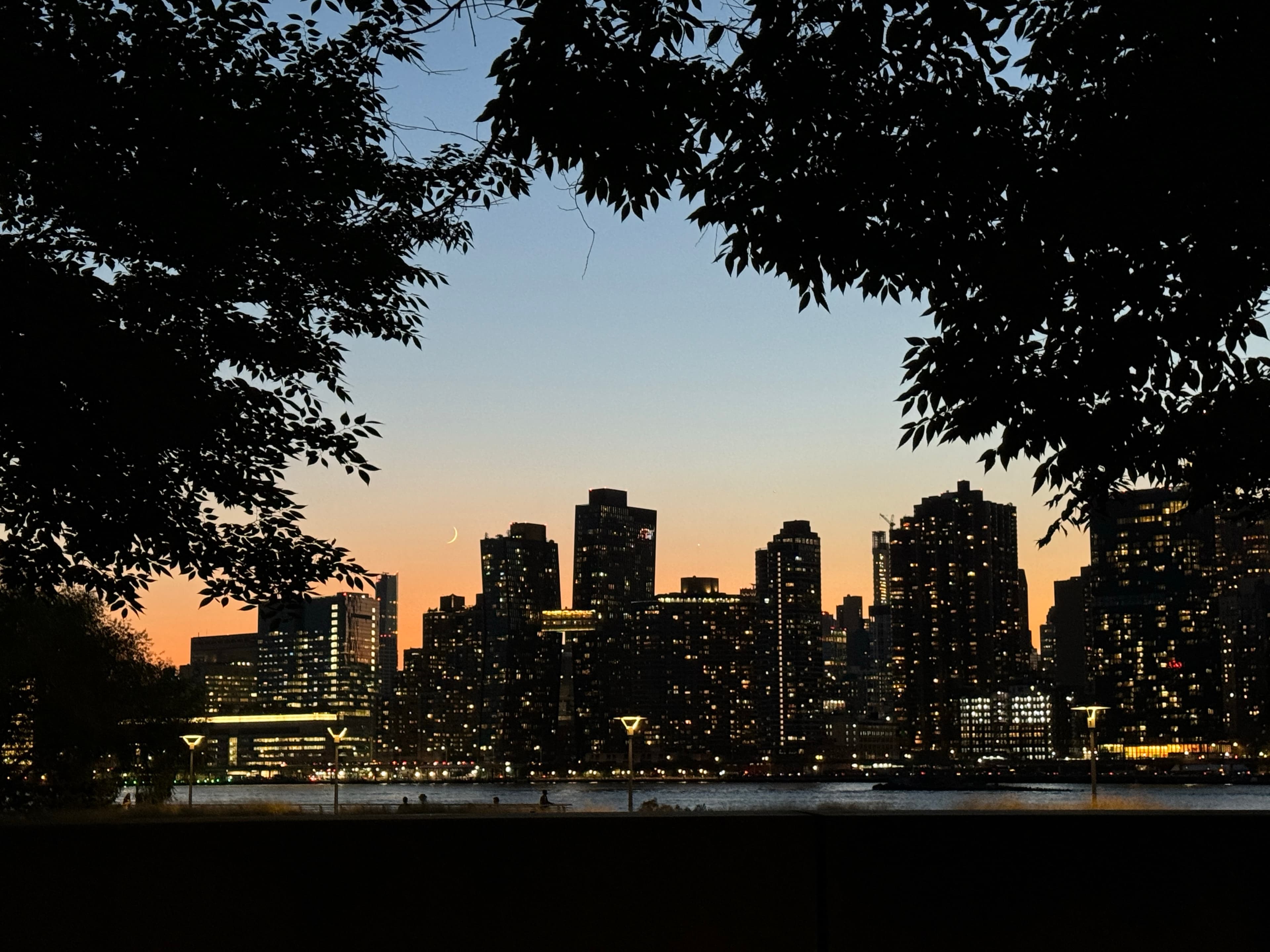 view from long island city, ny